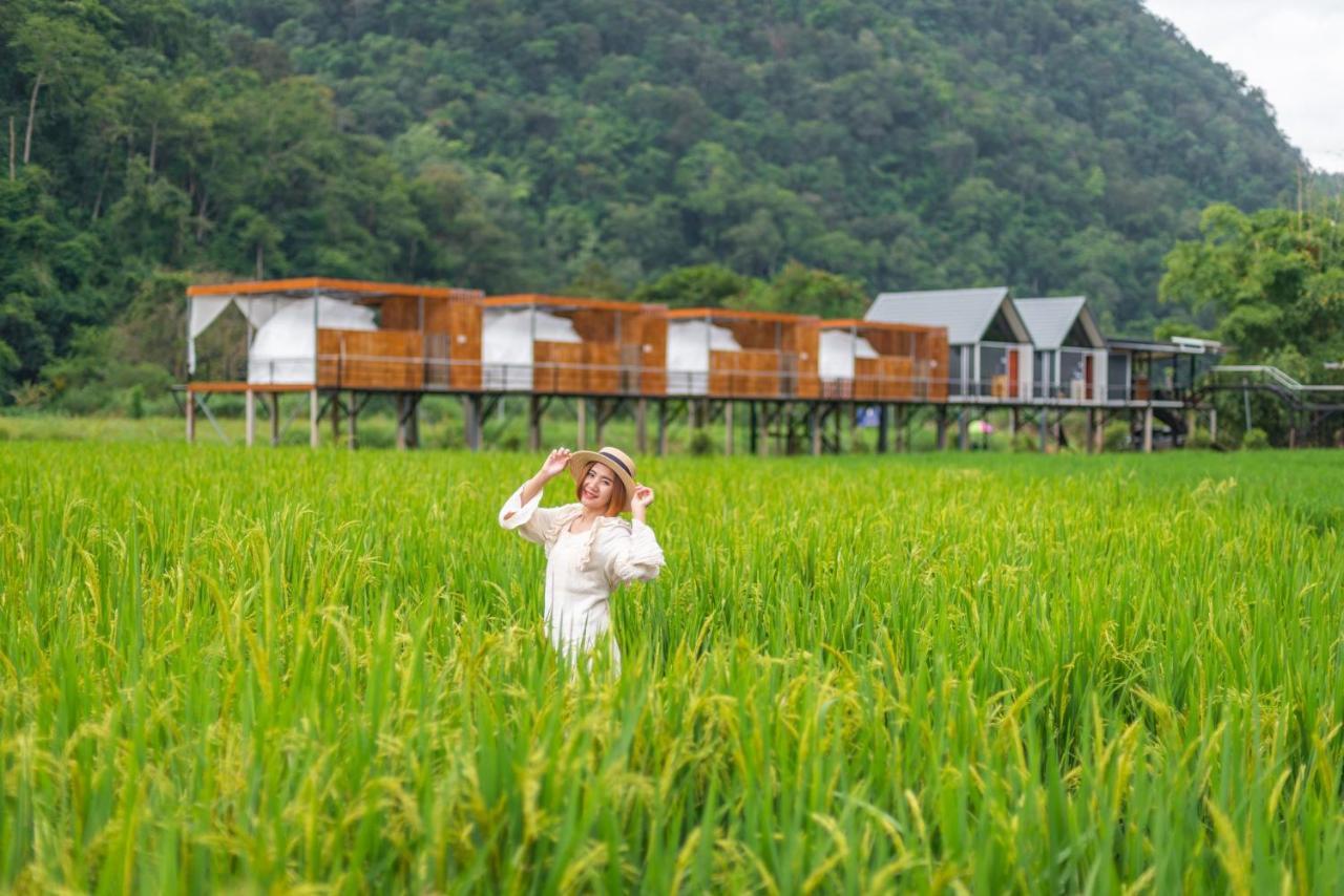 เนเจอร์วัลเล่ย์แคมป์ ปางมะผ้า Hotel Exterior photo